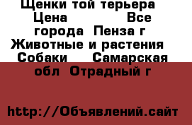 Щенки той терьера › Цена ­ 10 000 - Все города, Пенза г. Животные и растения » Собаки   . Самарская обл.,Отрадный г.